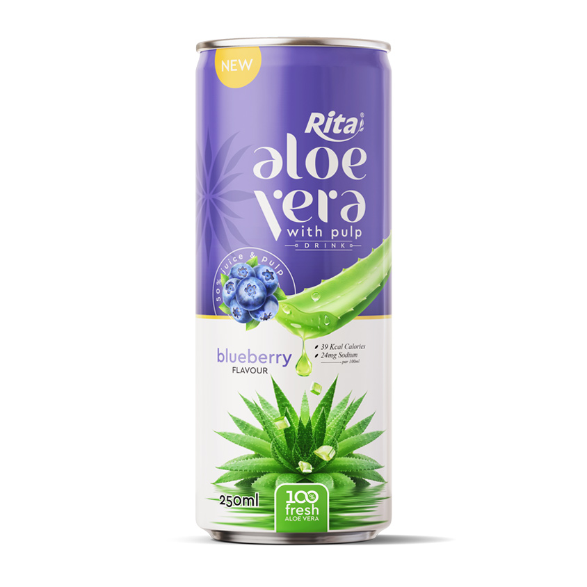 Rita Aloe Vera with Pulp Blueberry Flavor 250ml Can